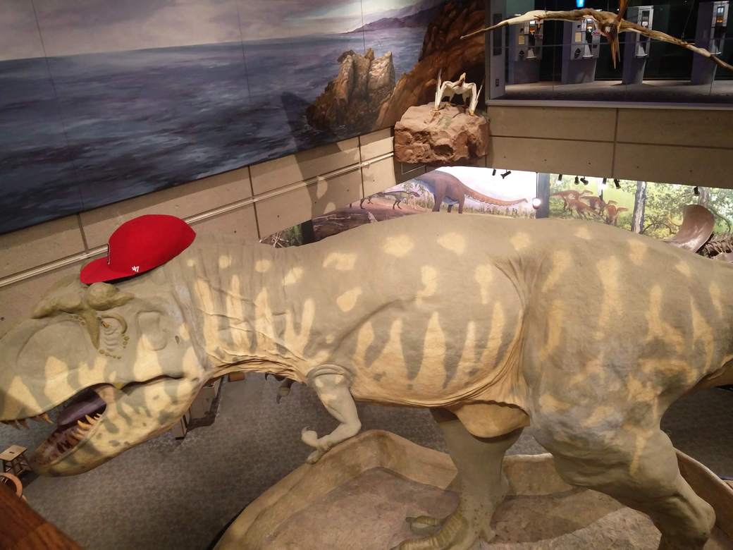 T-Rex with a Red Sox cap at the Museum of Science